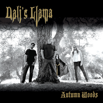 Dali's Llama - Full On Dunes