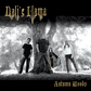 Dali's Llama Autumn Woods CD Cover 18KB